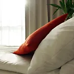 Hotel Forza