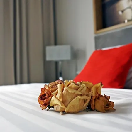 Hotel Forza 3*