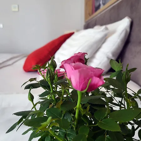 Forza Hotel Poznań