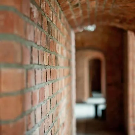 Forza Познань